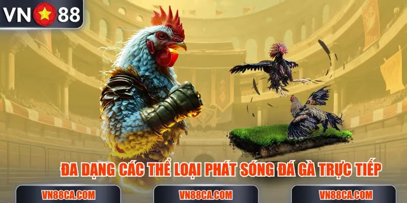 Đa dạng các thể loại phát sóng đá gà trực tiếp tại VN88