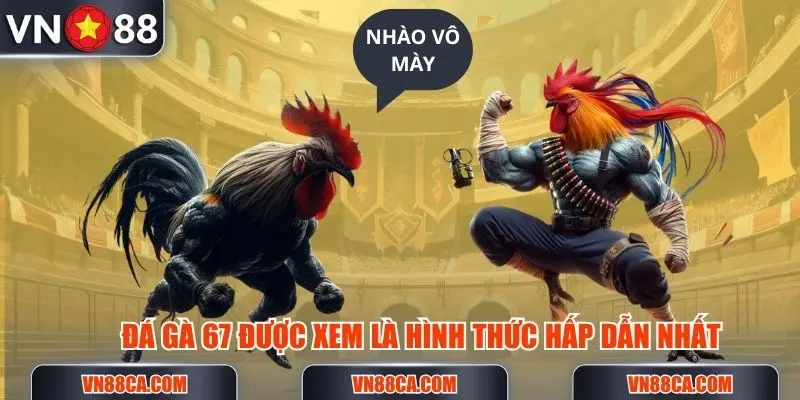 Đá gà 67 được xem là hình thức chọi kê hấp dẫn bậc nhất Đông Nam Á