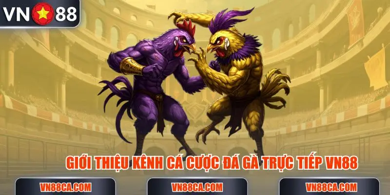Giới thiệu kênh cá cược đá gà trực tiếp tại nền tảng VN88
