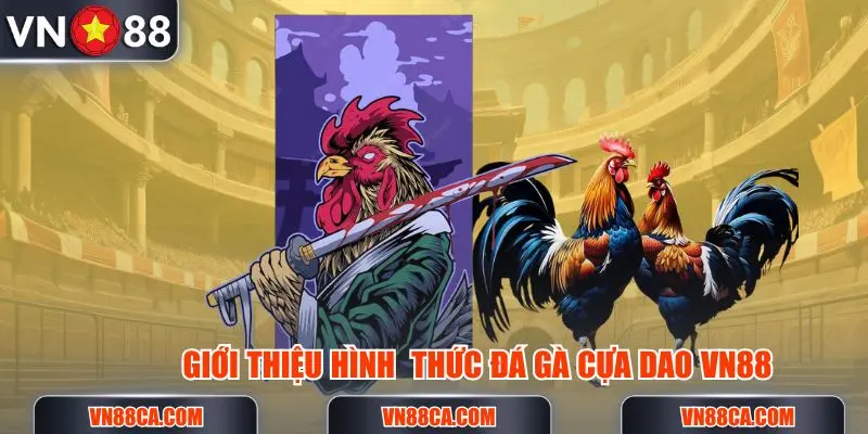 Hình thức cá cược đá gà cựa dao tại VN88 phiên bản 2025