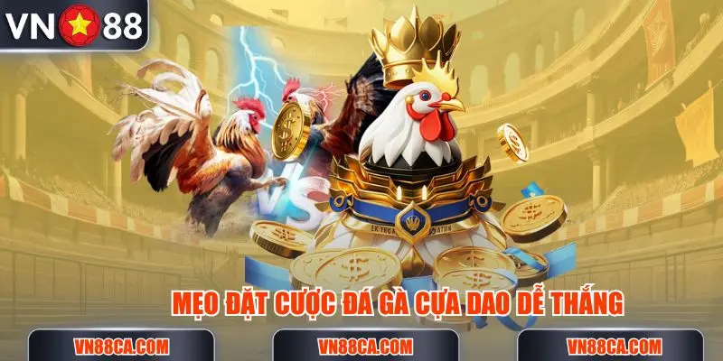 Mẹo đặt cược đá gà cựa dao nâng cao tỷ lệ thắng tối đa