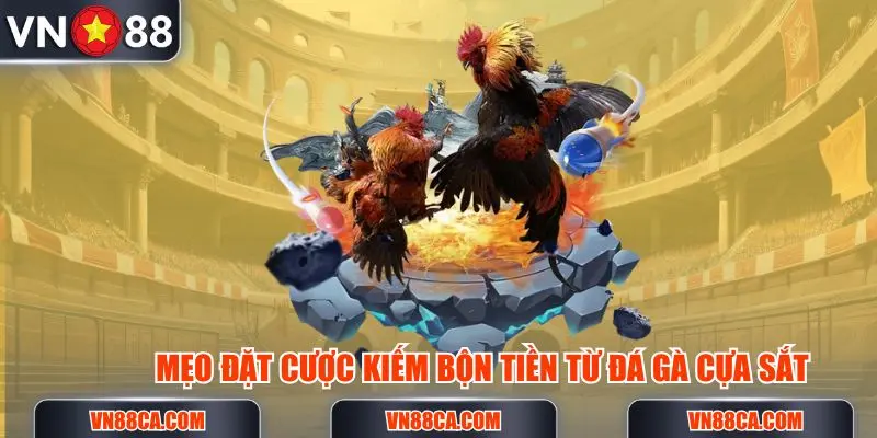 Mẹo đặt cược kiếm bộn tiền từ đá gà cựa sắt tại VN88