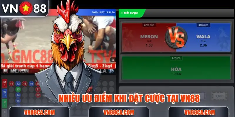 Nhiều ưu điểm khi đặt cược tại sảnh đá gà của VN88 dành cho hội viên