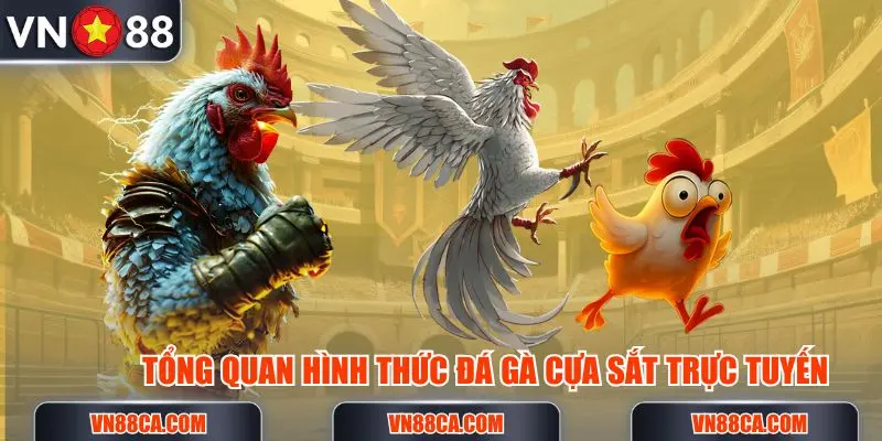 Tổng quan hình thức live đá gà cựa sắt VN88
